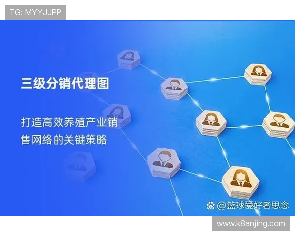 K8凯发一触即发引企实现企业快速响应市场变化的创新运营模式分析